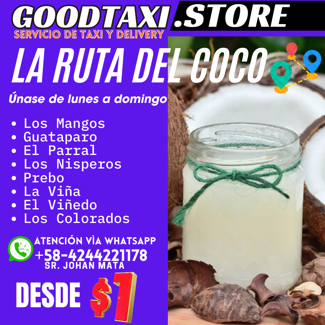 servicio de moto taxi y delivery (2)